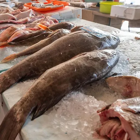 Steps To 4beds -ac Self Check-in 2024 Reno * 나자레