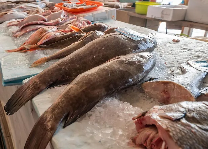 Steps To 4beds -ac Self Check-in 2024 Reno * נאזרה